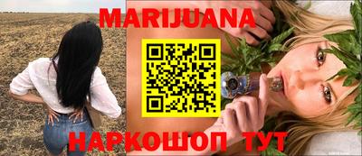 шишки Ставрополь