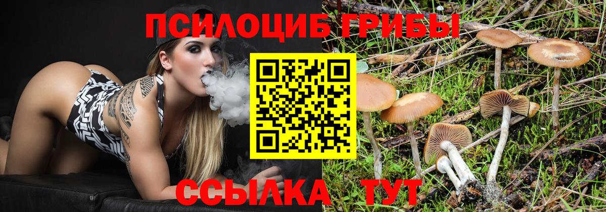 Псилоцибиновые грибы Cubensis  наркошоп  Асино  Вход с VPN 