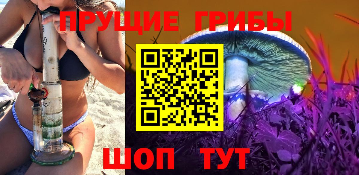 Галлюциногенные грибы Cubensis Асино
